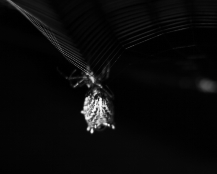 2012 08 16 9999 13ebw